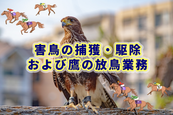 入札王Xを振り返ろう～11月5日週紹介案件まとめ～