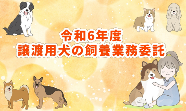 入札王Xを振り返ろう～12月2日週紹介案件まとめ～